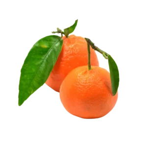 Mandarina