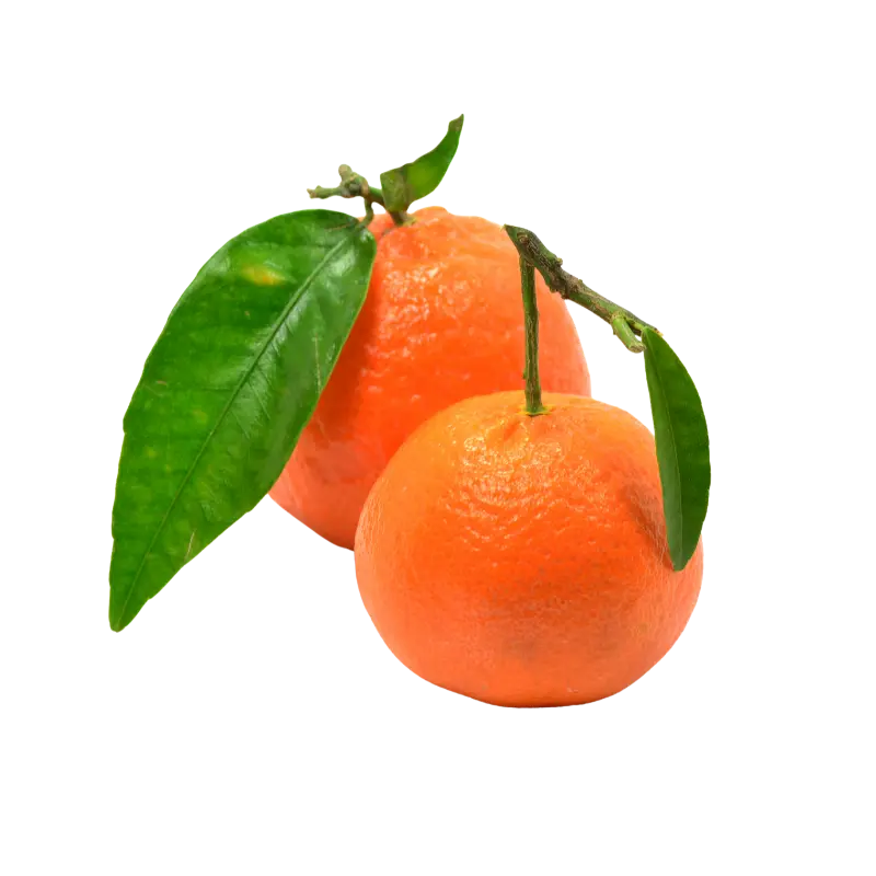Mandarina