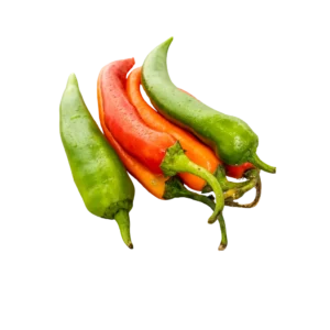 Hungaro